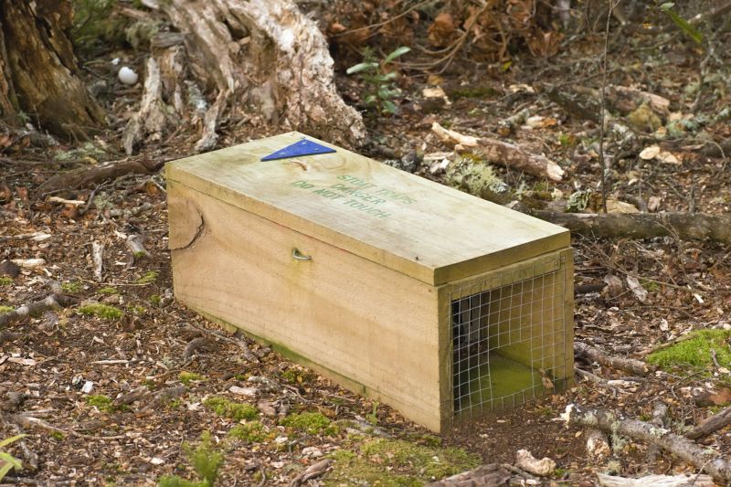 Cost of Wildlife Control — Cost of Wildlife Control