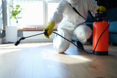 Spider Extermination Service in Fort Worth, TX